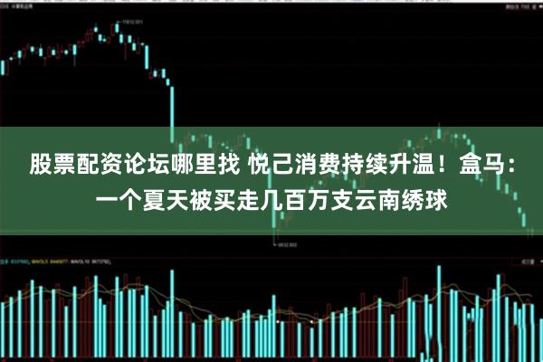 股票配资论坛哪里找 悦己消费持续升温！盒马：一个夏天被买走几百万支云南绣球